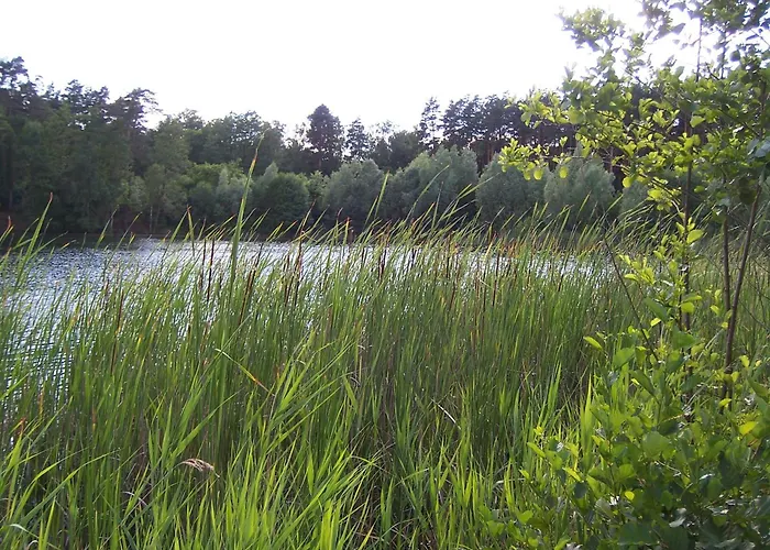 Ferienwohnung Am Teupitzsee