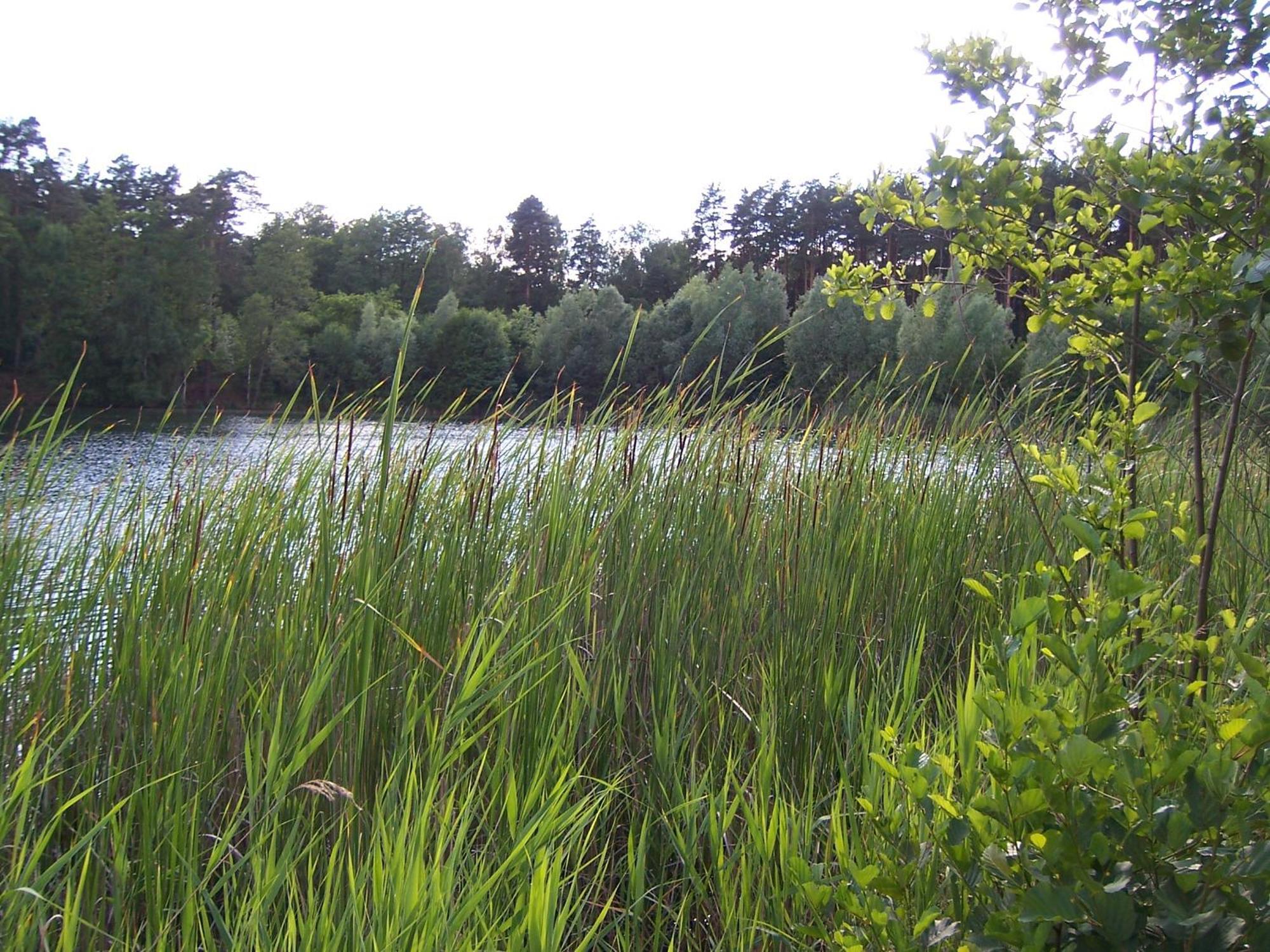 Am Teupitzsee