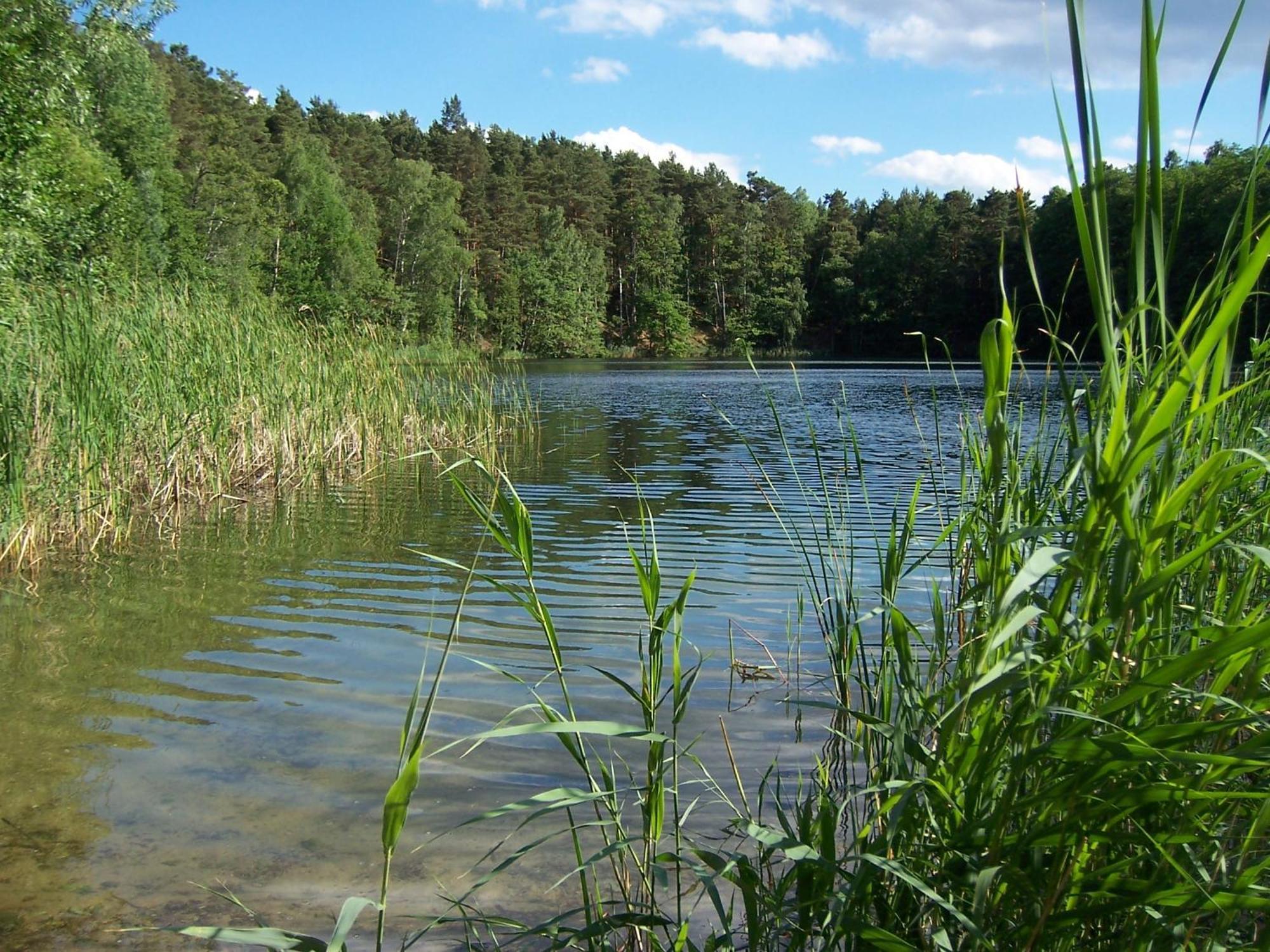 Am Teupitzsee